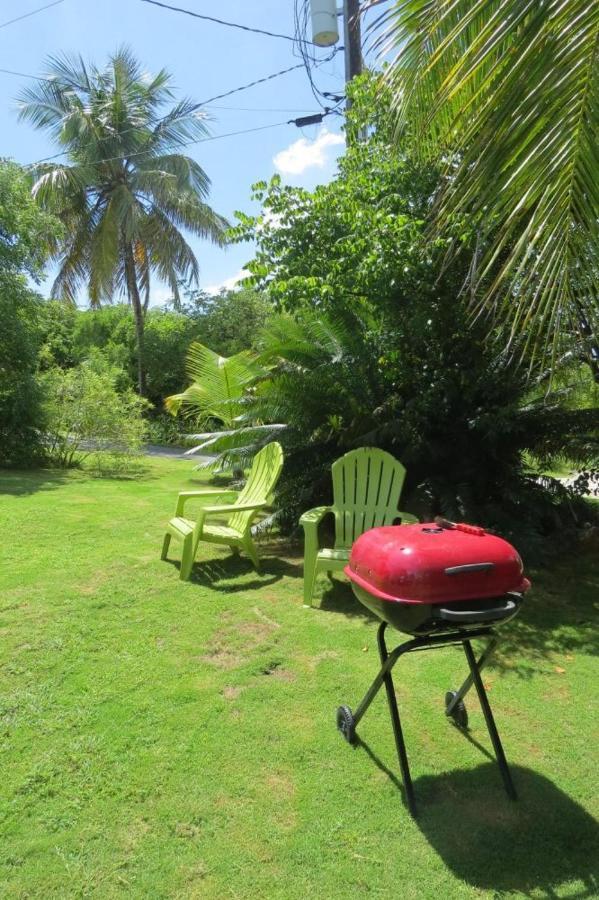 גוברנורס הארבור Orchid Cottage By Eleuthera Vacation Rentals מראה חיצוני תמונה